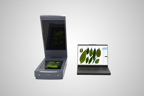 叶面积分析系统