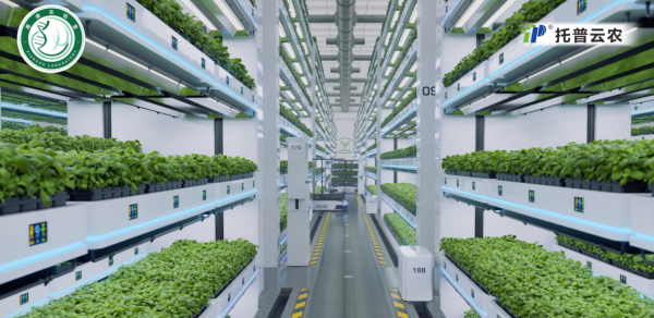 托普云农联合湘湖实验室发布植物工厂首个专属智能体
