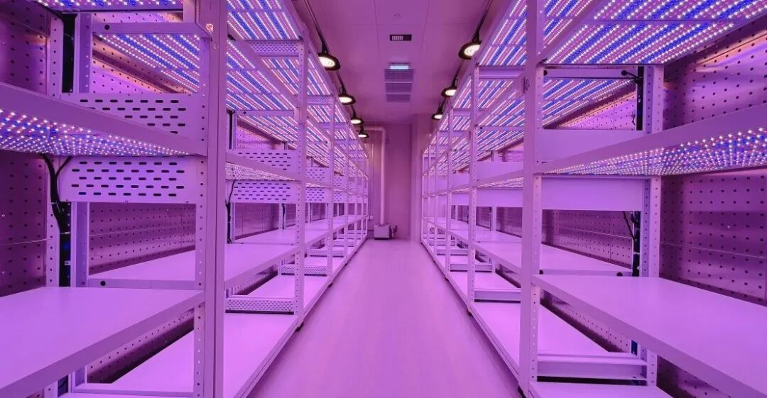 托普植物工厂—深耕科研创新，赋能产业转化