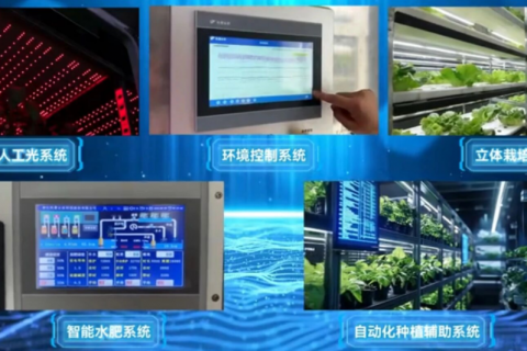 托普植物工厂—深耕科研创新，赋能产业转化