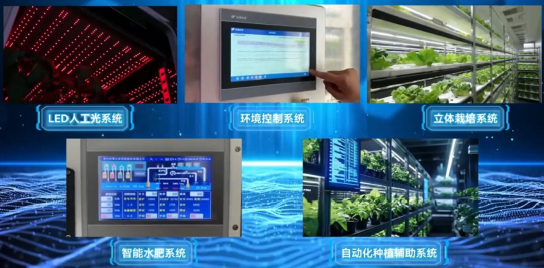 托普植物工厂—深耕科研创新，赋能产业转化