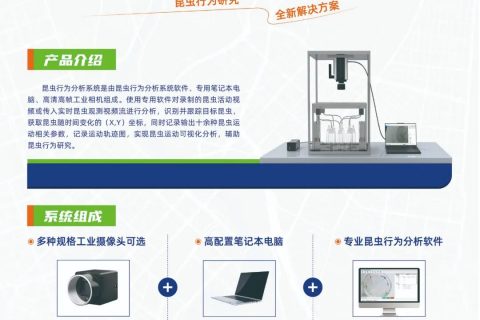 托普高通量昆虫行为分析系统：精准录制与分析昆虫活动