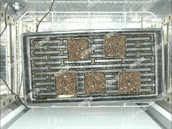 环控型植物生长表型分析系统——环境调控 表型解析