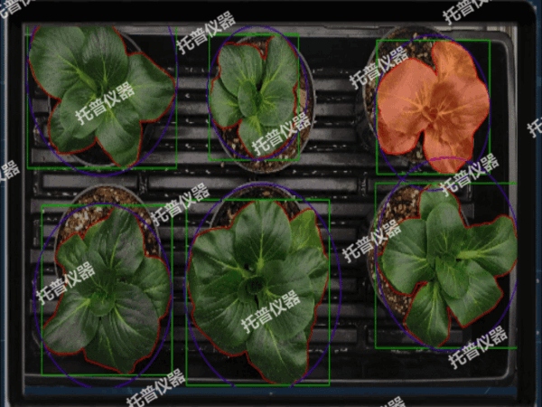 环控型植物生长表型分析系统——环境调控 表型解析