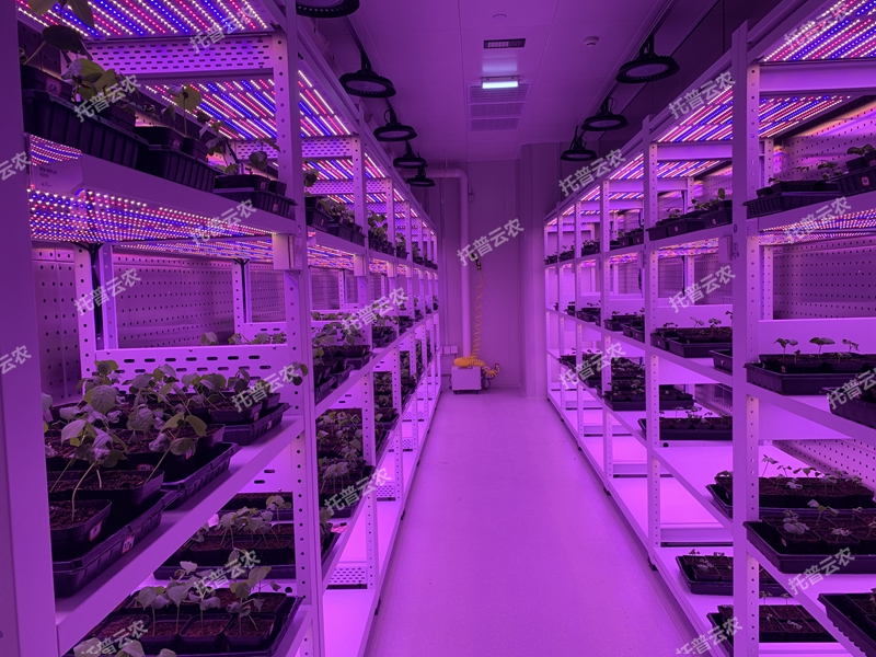 密闭型植物工厂