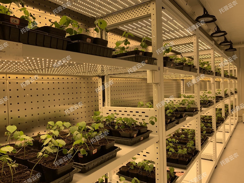 密闭型植物工厂