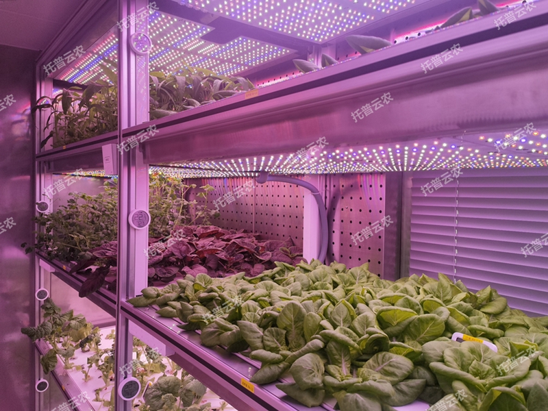 密闭型植物工厂