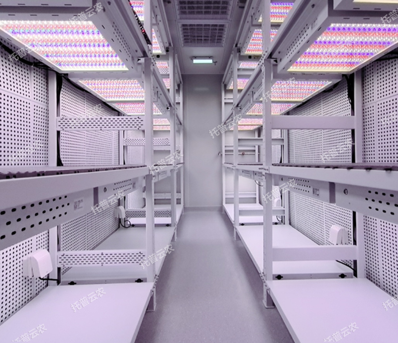 密闭型植物工厂