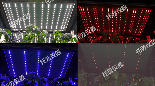 托普可调光谱植物培养箱——精准调控光配方，开启植物生长无限可能！