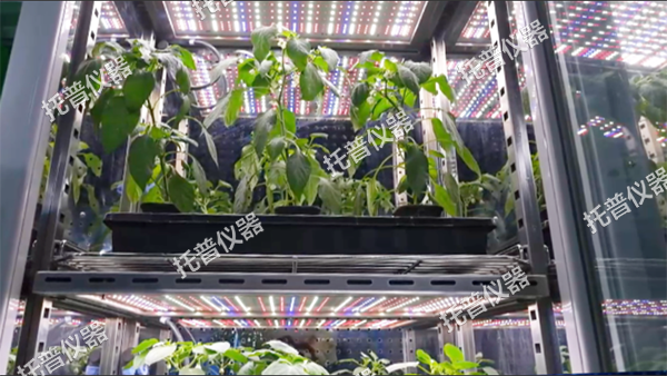 托普可调光谱植物培养箱——精准调控光配方，开启植物生长无限可能！