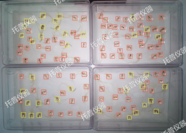 托普可调光谱植物培养箱——精准调控光配方，开启植物生长无限可能！