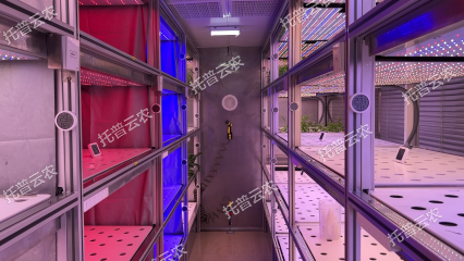 数智植物工厂九游会j9备用网址的解决方案