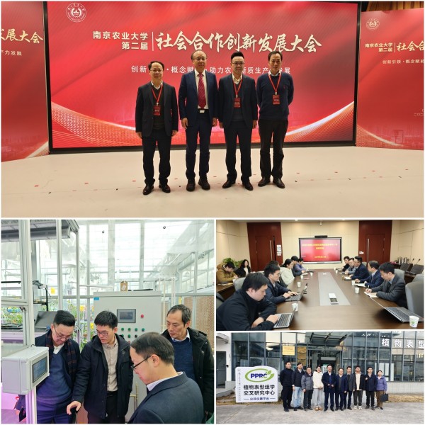 打造“ai 表型”新范式，托普云农“高通量植物表型智能分析平台”焕新上线！