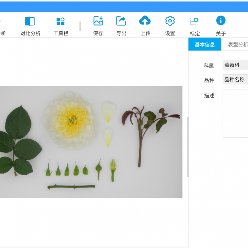 植物表型分析软件（客户端软件）