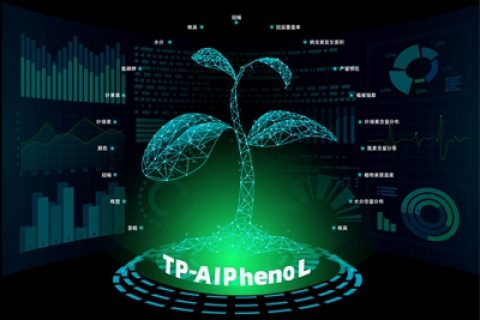 植物表型分析软件（客户端软件）