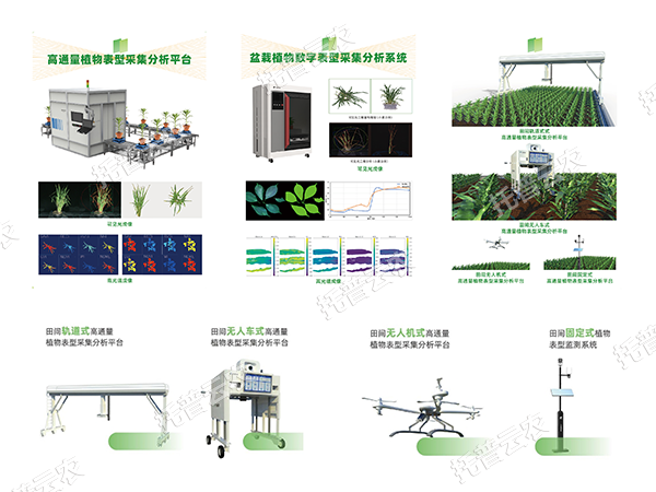 ai 农业新突破！托普高通量植物表型智能分析平台助力智慧农业创新发展