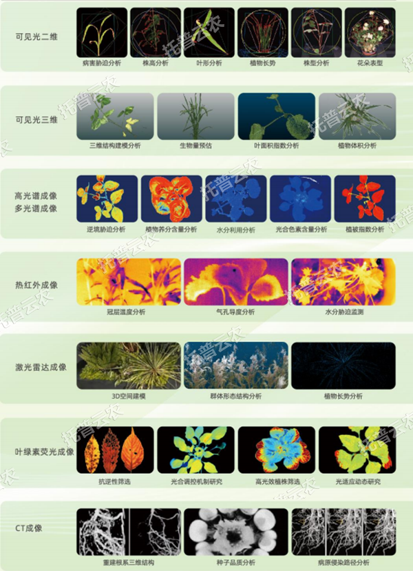 ai 农业新突破！托普高通量植物表型智能分析平台助力智慧农业创新发展