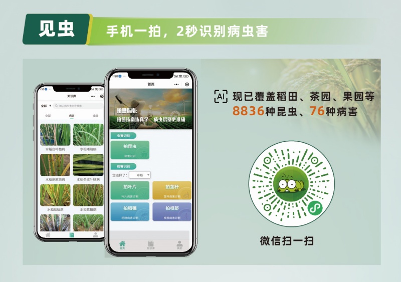 【ai 植保】1张照片抵过10年经验，8000余种病虫害全曝光！