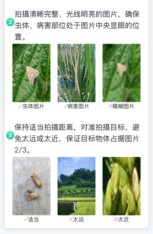 【ai 植保】1张照片抵过10年经验，8000余种病虫害全曝光！