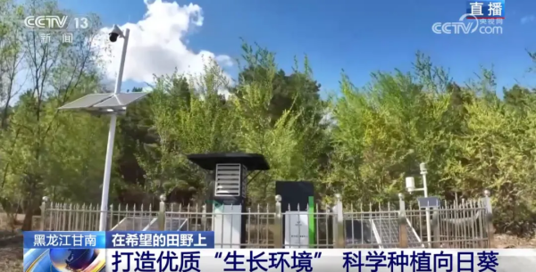 人民日报、央视新闻等权威媒体报道：托普云农ai“新农具”助力沃野耕“新”