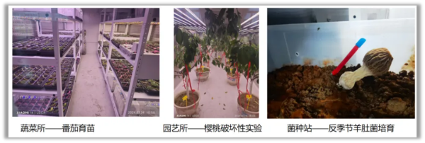 科研基地智慧育种方案