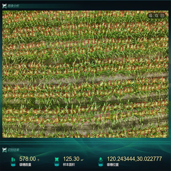 ai 农业 | 万亩良田 一飞尽览，托普云农无人机低空巡检系统赋能智慧农业新发展