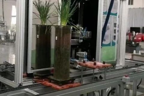 高通量植物根系表型采集分析系统（根筒式）