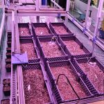 室内种子萌发表型监测系统