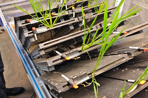 高通量植物根系表型采集分析系统（根盒式）