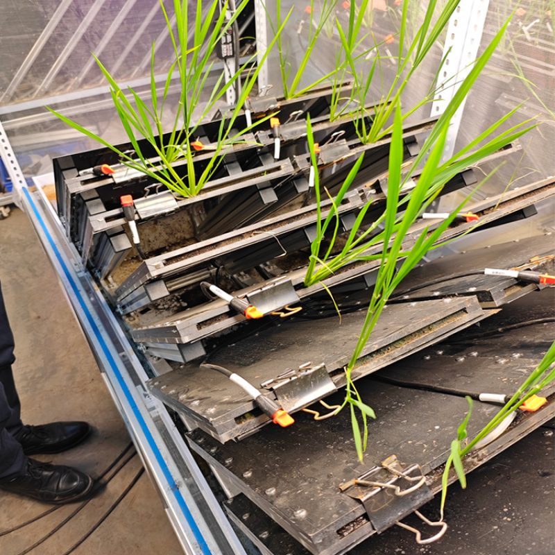 高通量植物根系表型采集分析系统（根盒式）