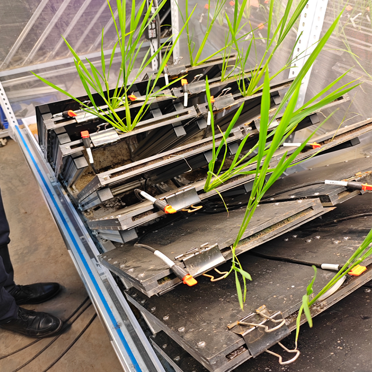 高通量植物根系表型采集分析系统（根盒式）