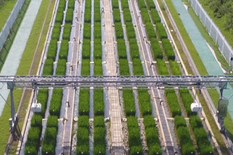 龙门式高通量表型采集分析平台（地轨式）