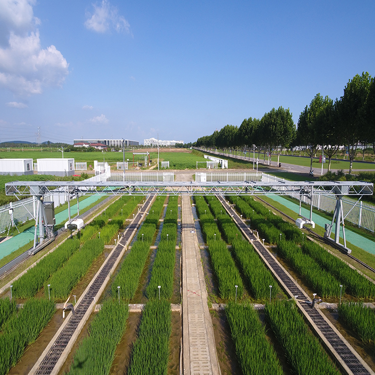 龙门式高通量表型采集分析平台（地轨式）