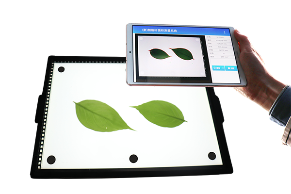 智能叶面积测量系统-高效完成大批量植株叶片表型参数的自动化测量
