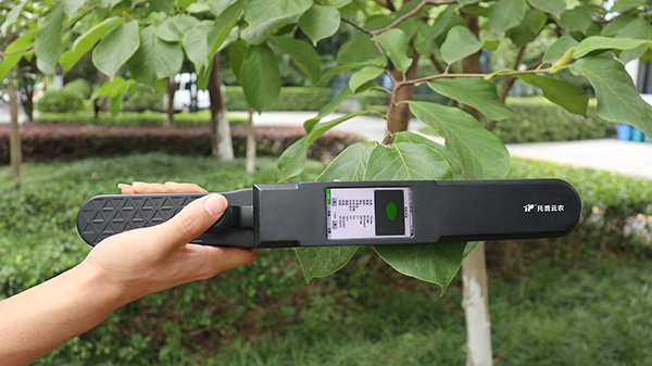 智能叶面积测量系统-高效完成大批量植株叶片表型参数的自动化测量