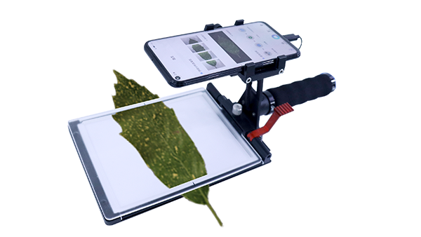 智能叶面积测量系统-高效完成大批量植株叶片表型参数的自动化测量