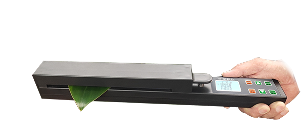 智能叶面积测量系统-高效完成大批量植株叶片表型参数的自动化测量