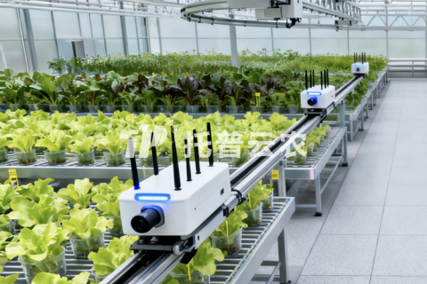 温室巡轨式表型采集分析系统