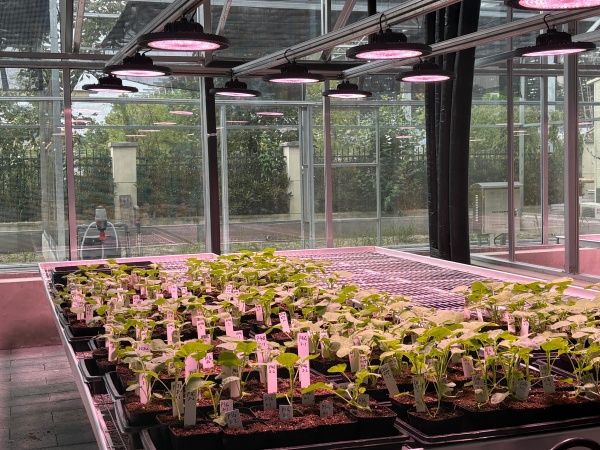 第二届全国智能植物工厂学术研讨会圆满召开，托普云农协同助力学术创新与产业转化