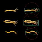 中药材品质分析系统