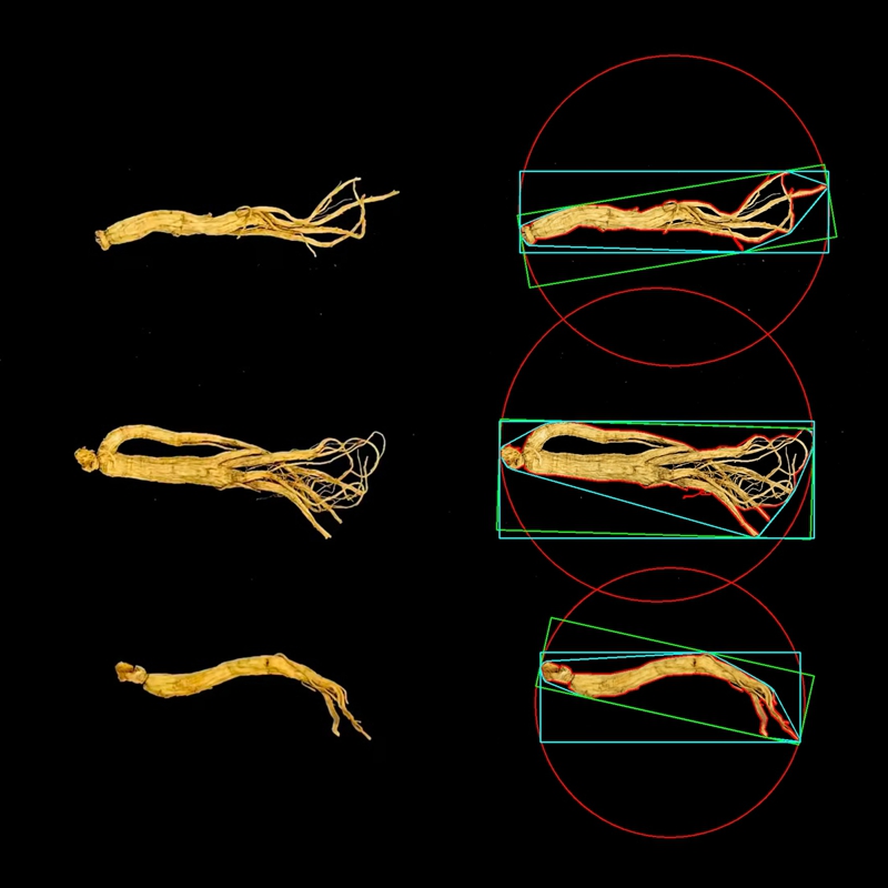 中药材品质分析系统