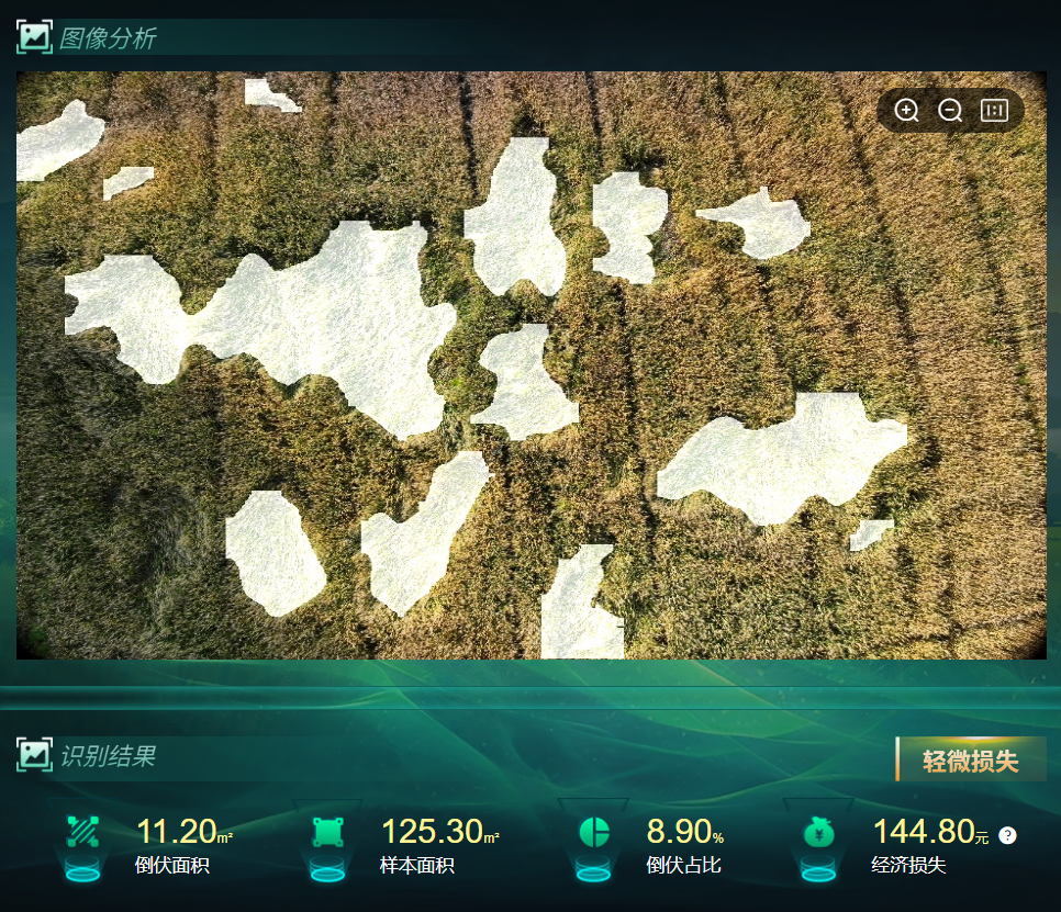 高端无人机低空巡检系统（手飞版）