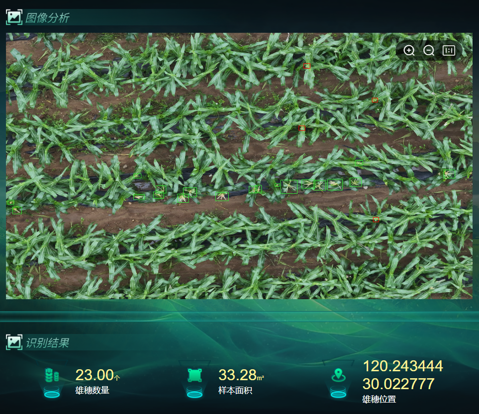 高端无人机低空巡检系统（手飞版）