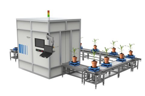 盆栽果树高通量表型采集分析系统