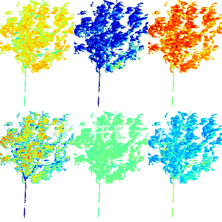 盆栽果树高通量表型采集分析系统