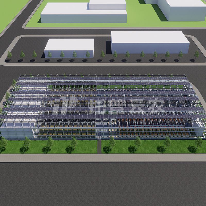 温室型植物工厂