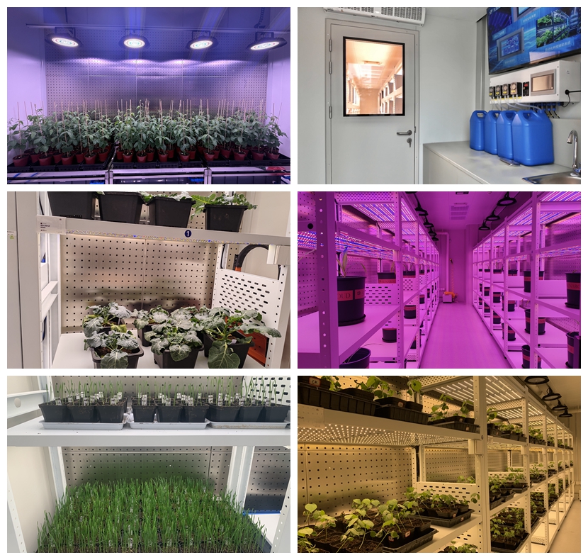 室外型人工气候室