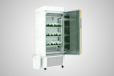 低温植物培养箱